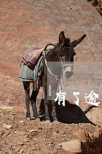有了逾期征信一般多久能恢复 有了逾期征信一般多久能恢复