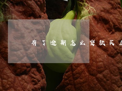 有了逾期怎么贷款买房 有了逾期怎么贷款买房