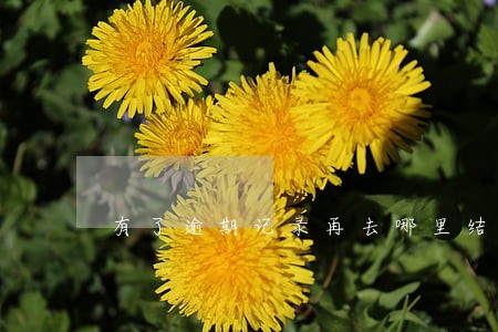 有了逾期记录再去哪里结款 有了逾期记录再去哪里结款