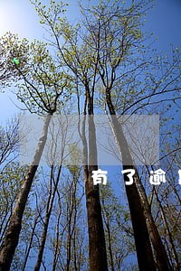 有了逾期记录的额度会减少吗 有了逾期记录的额度会减少吗
