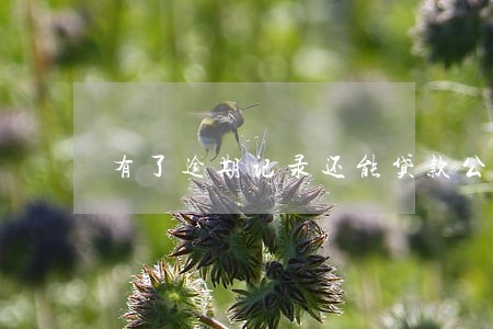 有了逾期记录还能贷款公积金吗 有了逾期记录还能贷款公积金吗