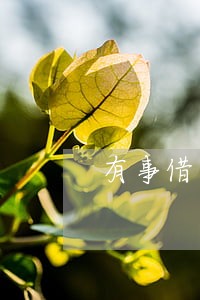 有事借贷逾期会影响找工作吗 有事借贷逾期会影响找工作吗