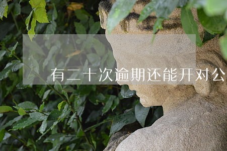 有二十次逾期还能开对公账户吗 有二十次逾期还能开对公账户吗