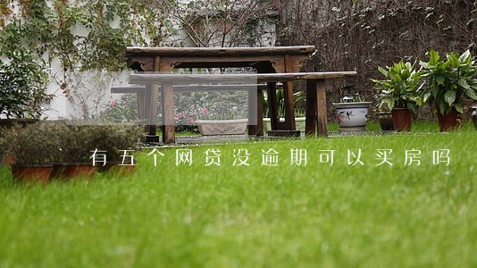 有五个网贷没逾期可以买房吗 有五个网贷没逾期可以买房吗