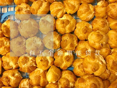 有五个逾期能贷款 有五个逾期能贷款