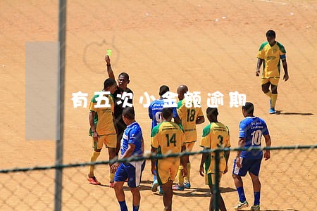 有五次小金额逾期 有五次小金额逾期