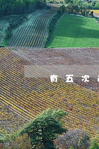 有五次逾期记录能贷款吗 有五次逾期记录能贷款吗