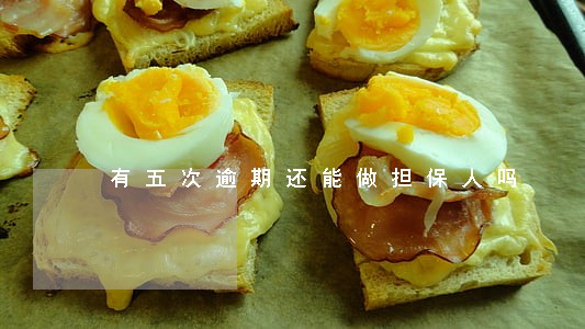 有五次逾期还能做担保人吗 有五次逾期还能做担保人吗