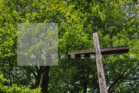有五次逾期金额100影响大吗 有五次逾期金额100影响大吗