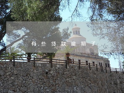 有些贷款逾期了 有些贷款逾期了