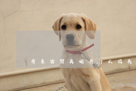 有亲密照离婚有什么损失 有亲密照离婚有什么损失