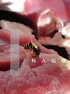 有人信用卡逾期2年吗 有人信用卡逾期2年吗
