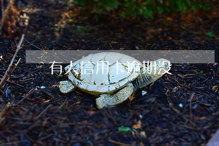 有人信用卡逾期没 有人信用卡逾期没