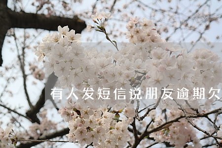 有人发短信说朋友逾期欠款 有人发短信说朋友逾期欠款