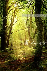 有人在借贷宝逾期过吗 有人在借贷宝逾期过吗