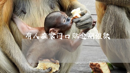 有人在家门口贴逾期催款 有人在家门口贴逾期催款
