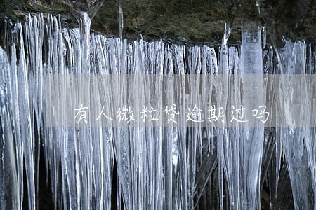 有人微粒贷逾期过吗