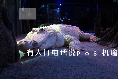 有人打电话说pos机逾期 有人打电话说pos机逾期