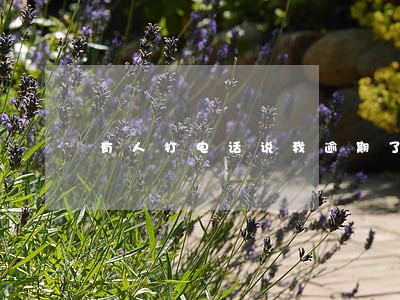 有人打电话说我逾期了 有人打电话说我逾期了
