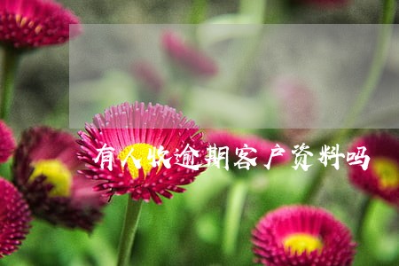 有人收逾期客户资料吗