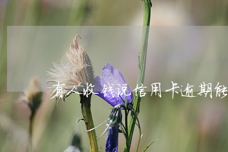有人收钱说信用卡逾期能办分期