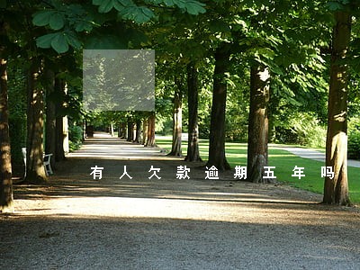 有人欠款逾期五年吗 有人欠款逾期五年吗