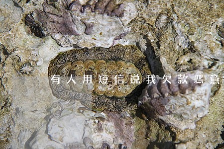有人用短信说我欠款恶意逾期 有人用短信说我欠款恶意逾期
