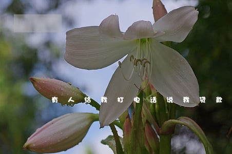 有人给我打电话说我贷款逾期 有人给我打电话说我贷款逾期