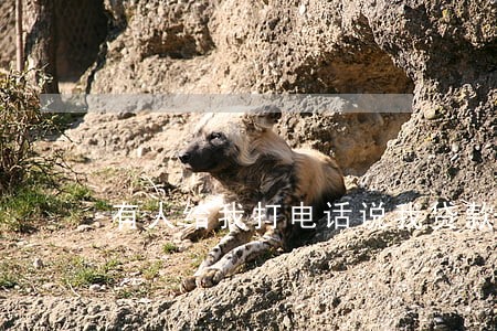 有人给我打电话说我贷款逾期了 有人给我打电话说我贷款逾期了