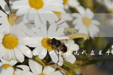 有人给我电话说我在某平台逾期了 有人给我电话说我在某平台逾期了