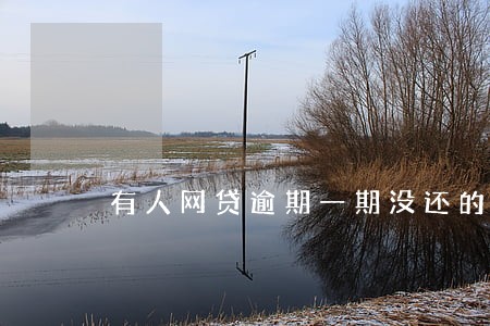 有人网贷逾期一期没还的吗 有人网贷逾期一期没还的吗
