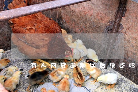 有人网贷逾期以后没还吗
