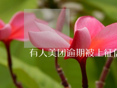 有人美团逾期被上征信了吗 有人美团逾期被上征信了吗