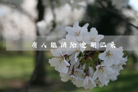 有人能消除逾期记录 有人能消除逾期记录