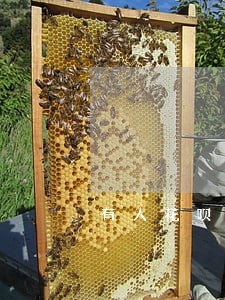 有人花呗逾期三年么 有人花呗逾期三年么