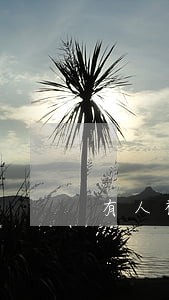 有人被信用卡逾期起诉吗