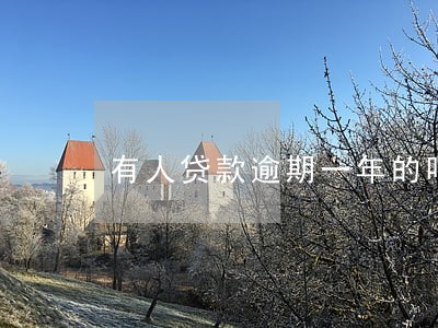 有人贷款逾期一年的吗 有人贷款逾期一年的吗