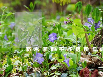 有人逾期不还信用卡吗 有人逾期不还信用卡吗