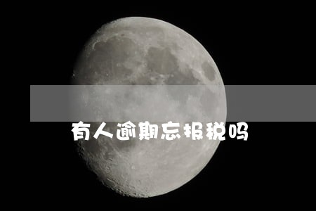 有人逾期忘报税吗 有人逾期忘报税吗