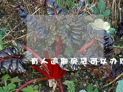 有人逾期房贷可以办理吗 有人逾期房贷可以办理吗