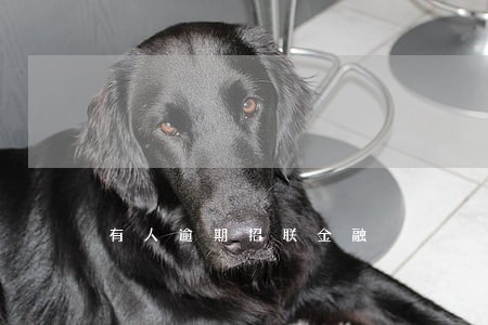 有人逾期招联金融 有人逾期招联金融