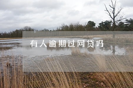 有人逾期过网贷吗 有人逾期过网贷吗