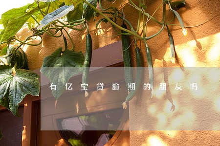 有亿宝贷逾期的朋友吗 有亿宝贷逾期的朋友吗