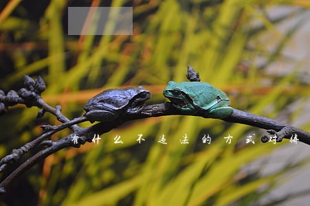 有什么不违法的方式对待无赖 有什么不违法的方式对待无赖
