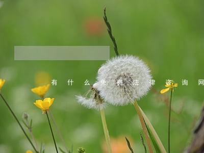 有什么免费法律咨询网站 有什么免费法律咨询网站