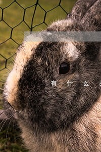 有什么办法可以消除违法记录吗 有什么办法可以消除违法记录吗