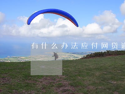 有什么办法应付网贷逾期 有什么办法应付网贷逾期