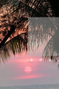 有什么投诉能撤销逾期记录 有什么投诉能撤销逾期记录