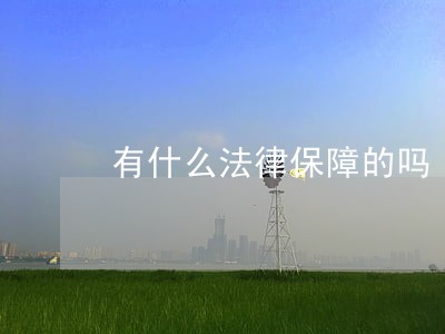 有什么法律保障的吗 有什么法律保障的吗