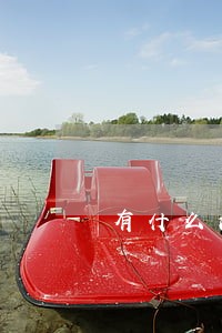 有什么法律咨询的软件吗 有什么法律咨询的软件吗
